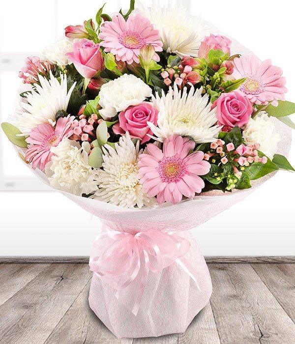 Pink Blush * – buy online or call 01543 374376